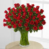 50 Roses in a Vase